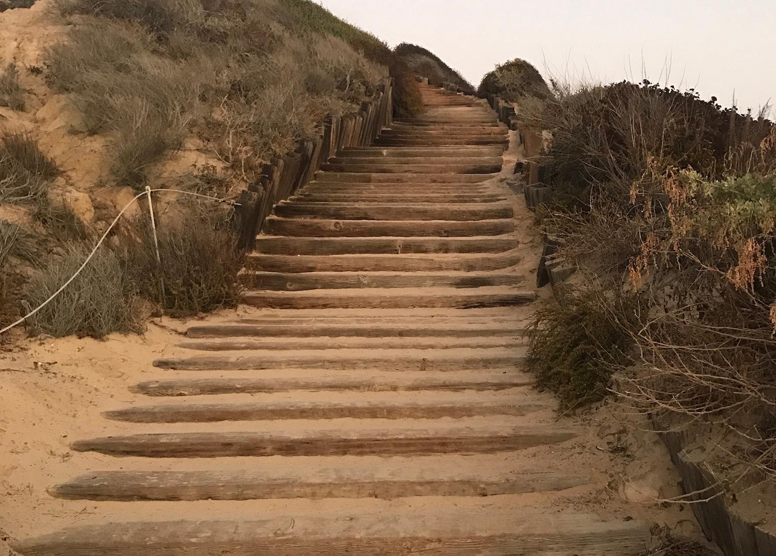 Sandee - Crystal Cove State Beach