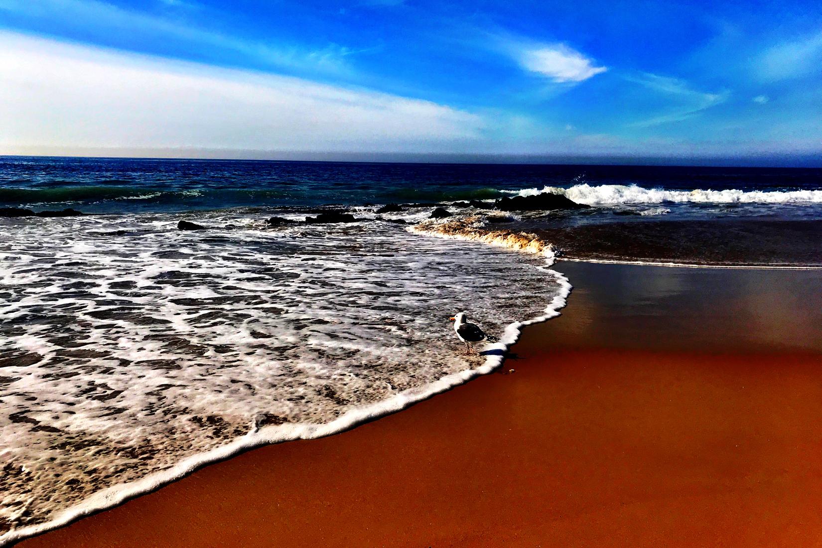 Sandee - Crystal Cove State Beach