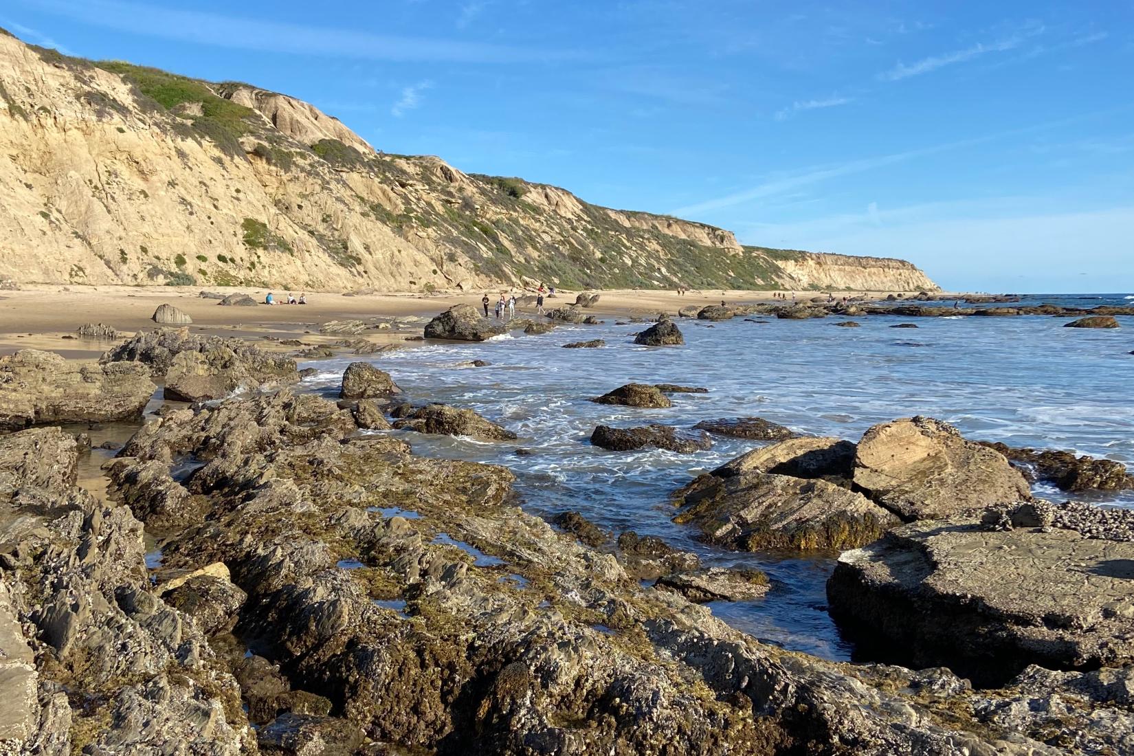 Sandee - Crystal Cove State Beach