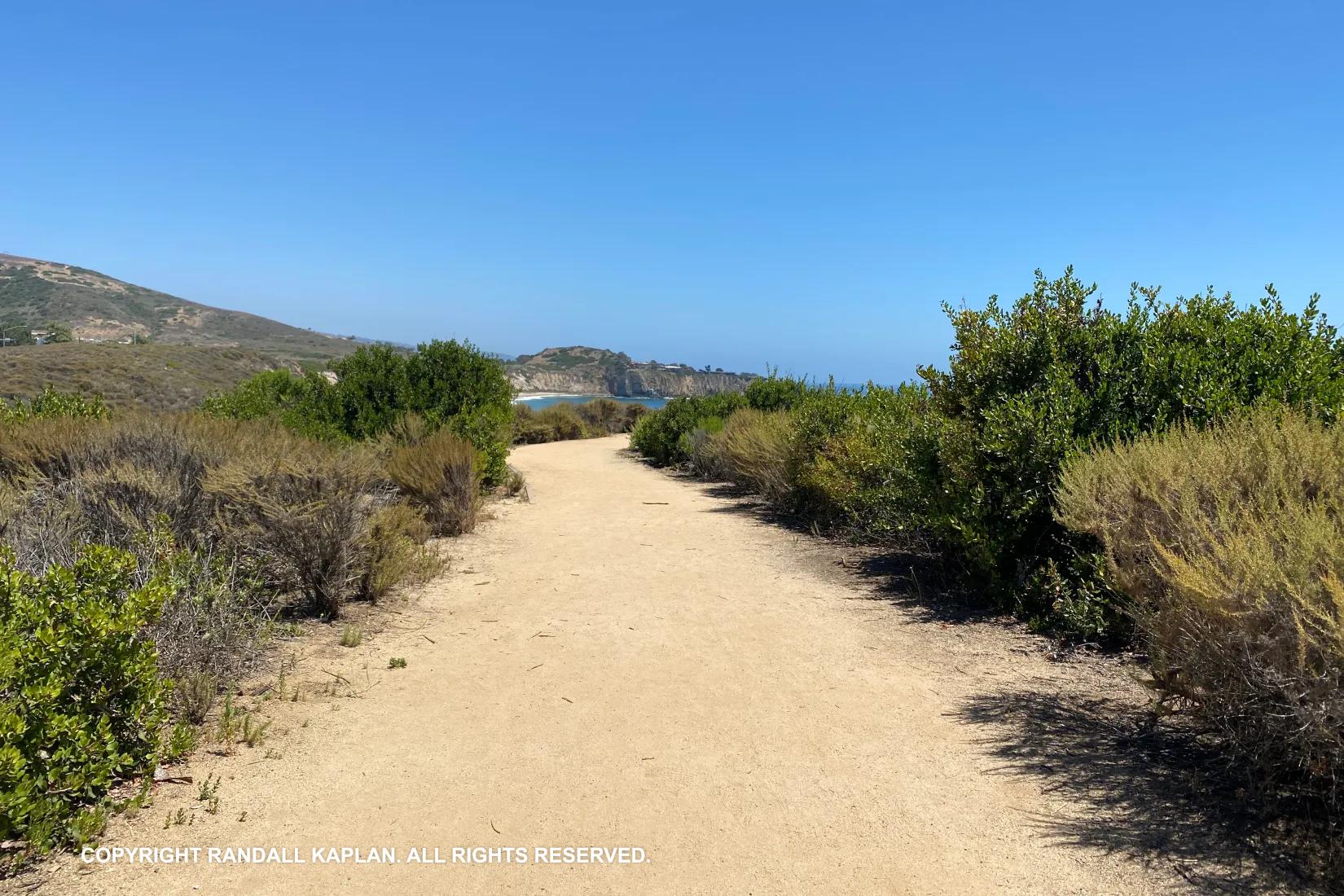 Sandee - Crystal Cove State Beach