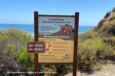 Sandee - Crystal Cove State Beach