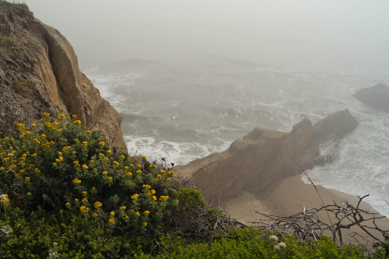 Sandee - Cowell Ranch Beach