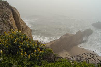 Sandee Cowell Ranch Beach