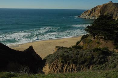 Sandee Ocean Cove Beach