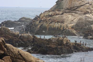 Sandee Beach Valparaiso Photo