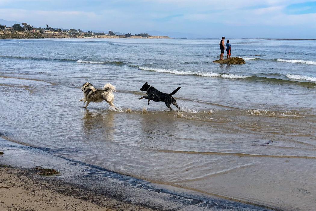 Sandee Sands Beach