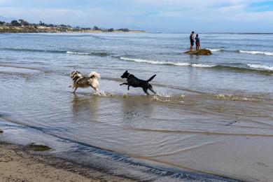 Sandee Sands Beach Photo