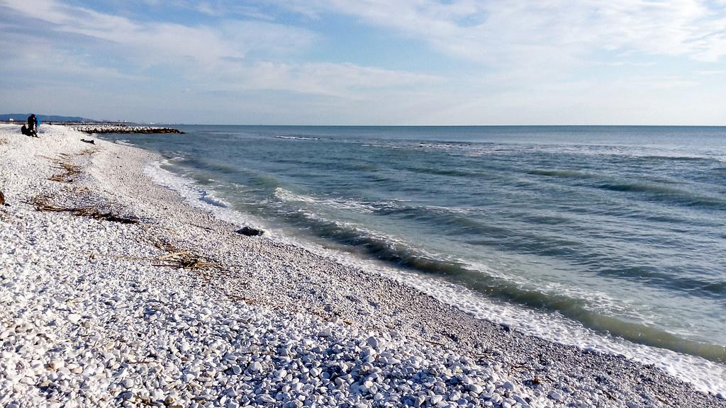 Sandee - Beach Marina Di Pisa