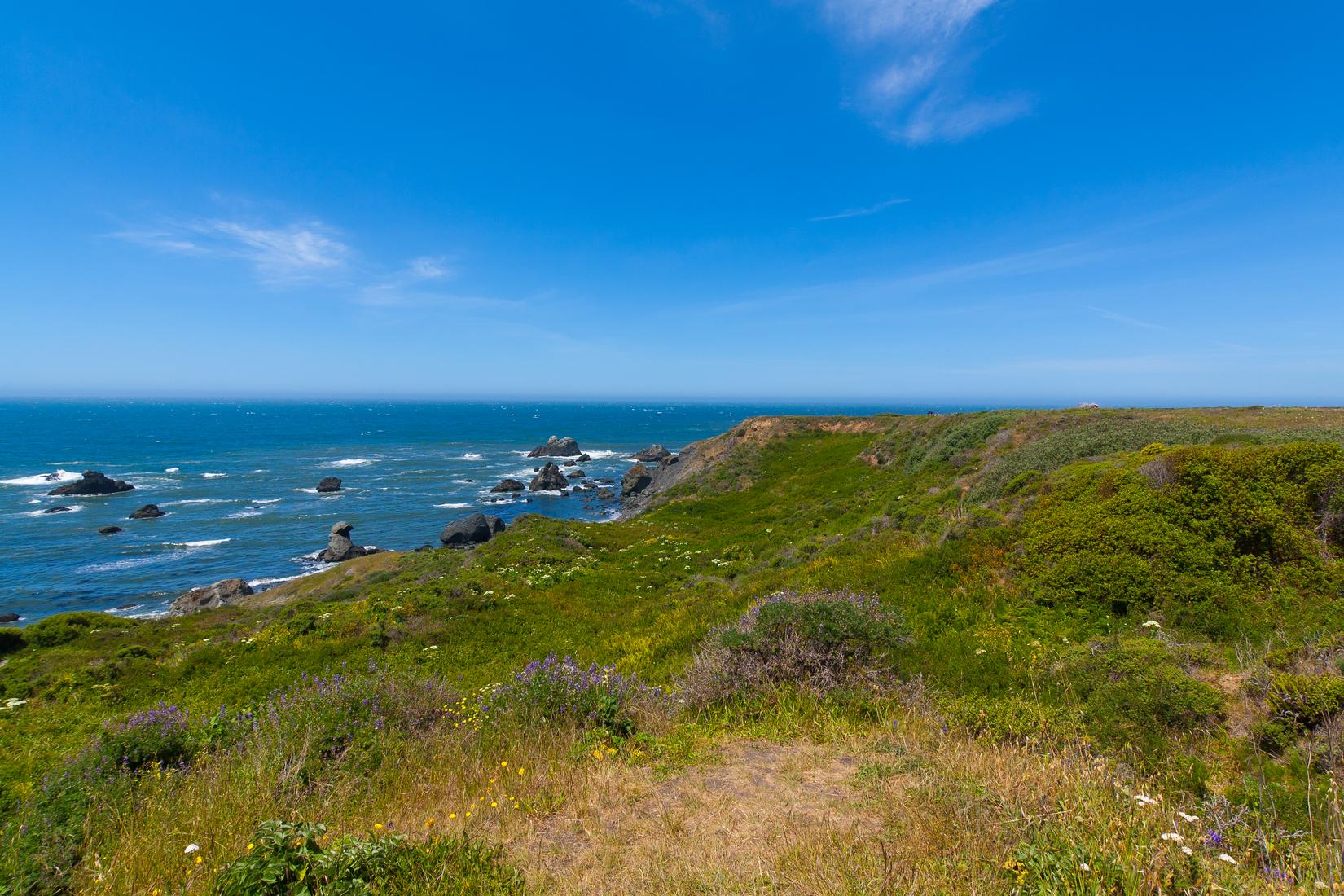 Sandee - Sonoma Coast State Park