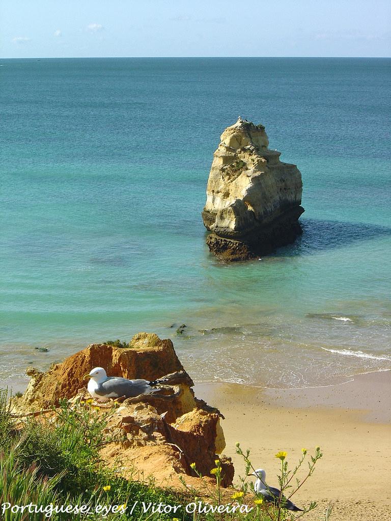 Sandee - Praia Dos Tres Castelos