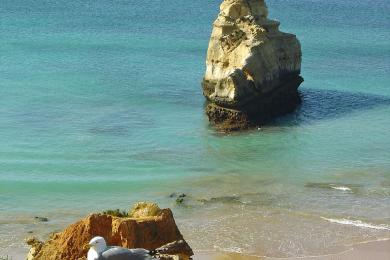 Sandee - Praia Dos Tres Castelos