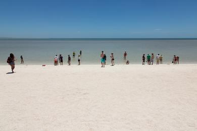 Sandee Shell Beach Photo