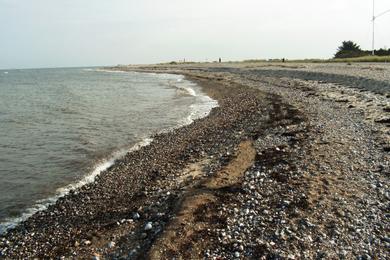 Sandee Gammendorfer Strand