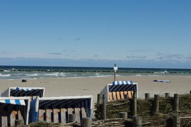 Sandee Damp Beach Photo