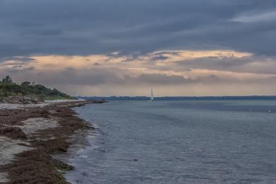 Sandee - Country / Insel Poel