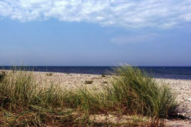 Sandee Bojendorfer Strand