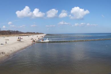 Sandee Koserow Beach