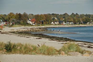 Sandee Haffkrug Beach