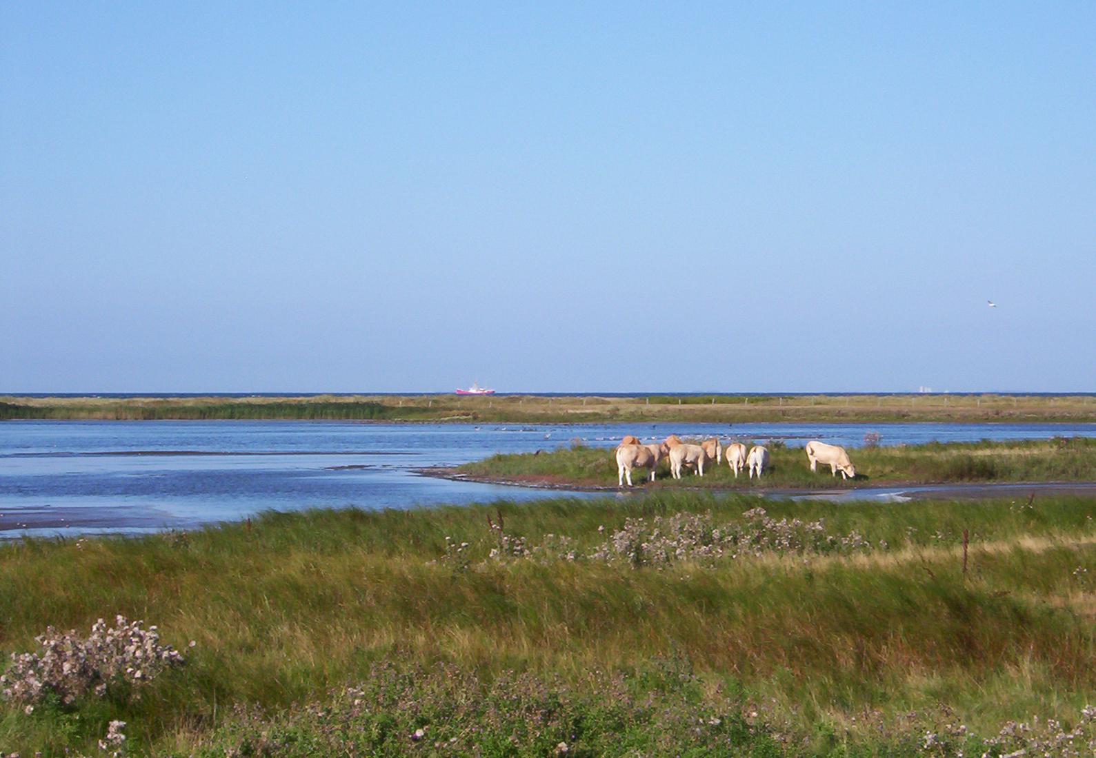 Sandee - Gruner Brink Beach