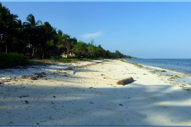 Sandee Kikambala Beach