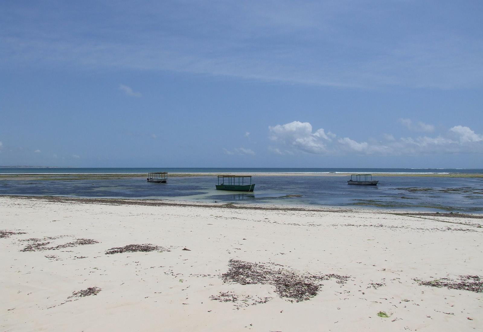 Sandee - Malindi Marine National Park