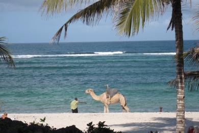 Sandee - Tiwi Beach