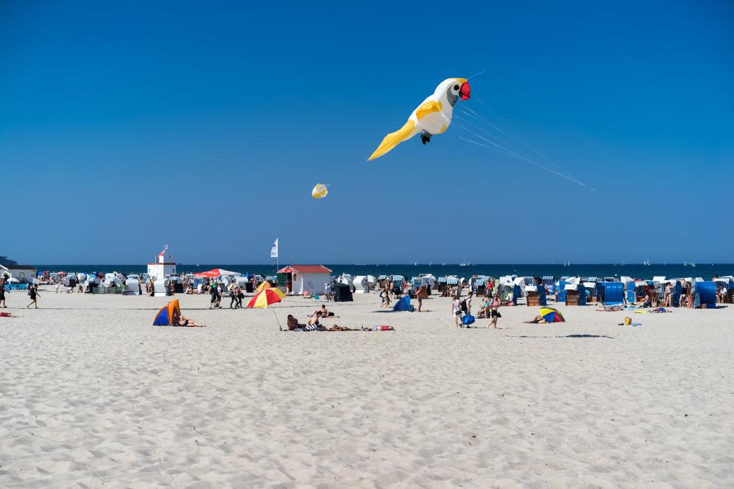 Sandee Hohe Dune Beach