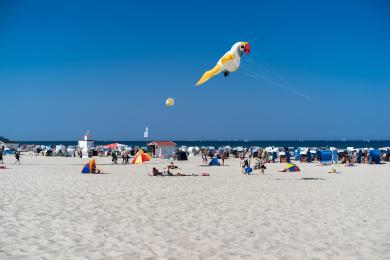 Sandee Hohe Dune Beach