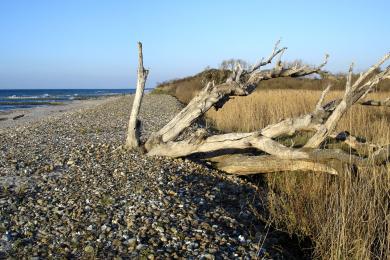 Sandee Borgerende Beach