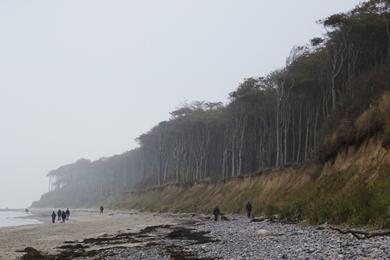 Sandee Nienhagen Beach