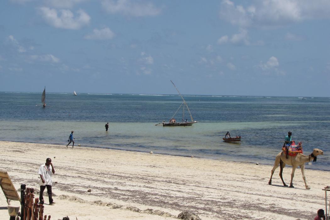 Sandee Shanzu Beach