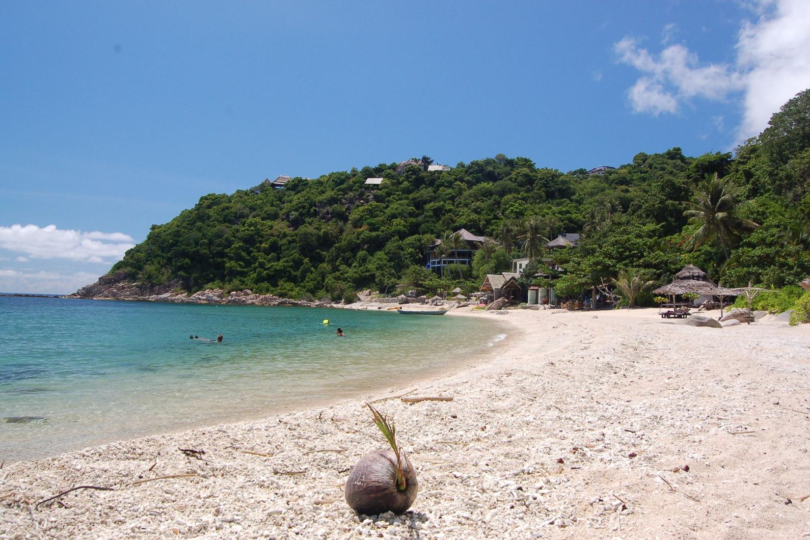 Sandee - Sai Daeng Beach