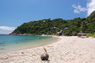 Sandee - Sai Daeng Beach