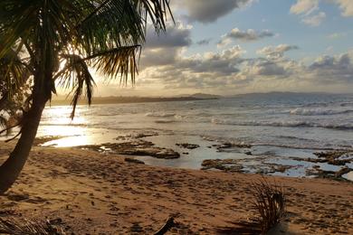 Sandee Playa Negra