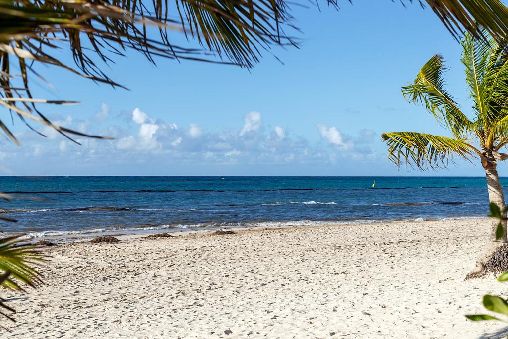 Sandee - Playa Gran Bahia Principe