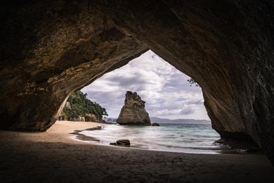 Sandee - Te Whanganui-A-Hei Marine Reserve