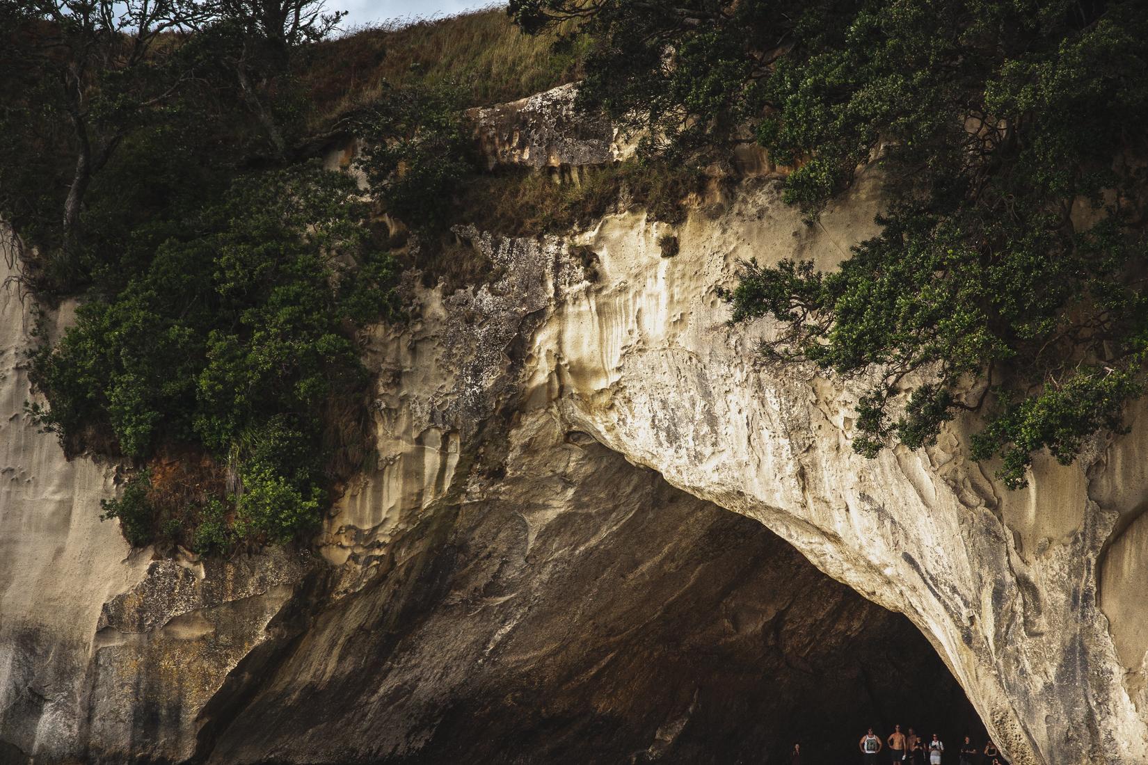 Sandee - Te Whanganui-A-Hei Marine Reserve