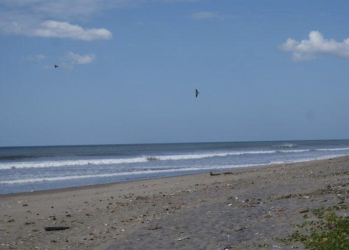 Sandee - Los Cajones Beach