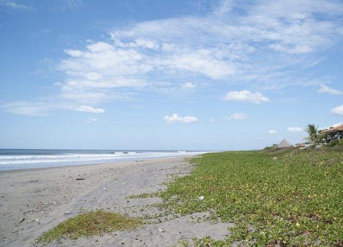 Sandee - Los Cajones Beach