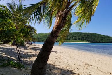 Sandee - Yasawa Island Resort Beach