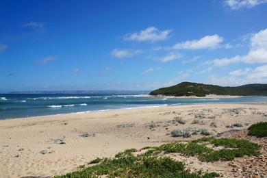 Sandee - Mossel Bay Beach