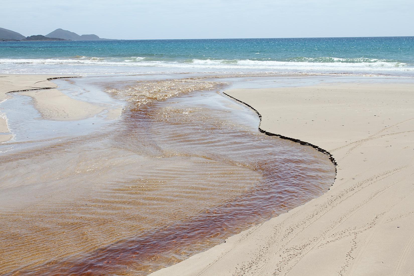 Sisters Beach Photo - Sandee