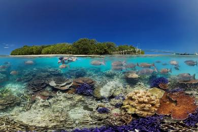 Sandee Bokissa Beach Photo