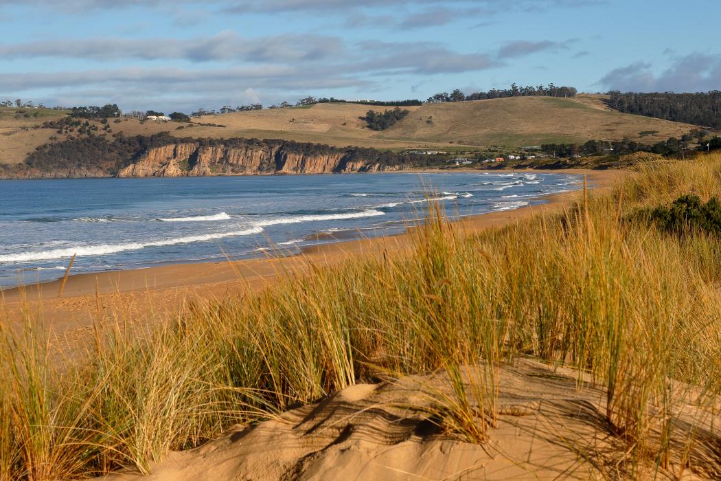 Sandee Clifton Beach