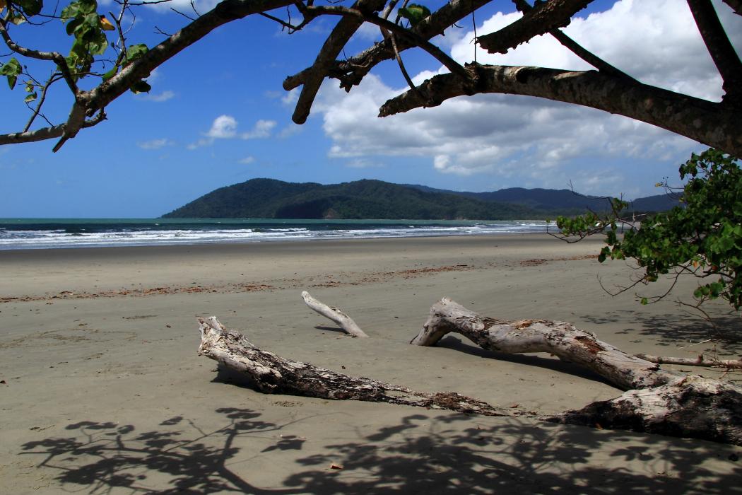 Sandee Cow Bay Beach Photo