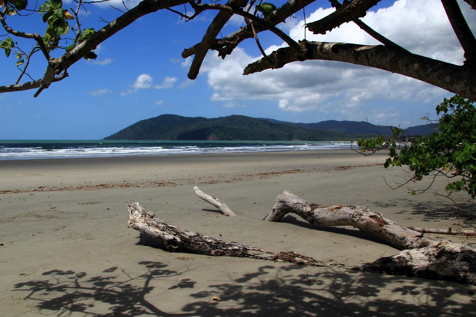 Sandee - Cow Bay Beach