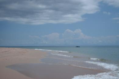 Sandee - Punta Arena Beach