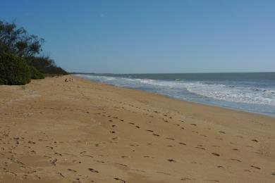 Sandee Moore Park Beach Photo