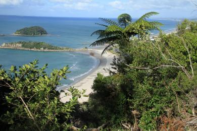 Sandee - Mount Maunganui Main Beach