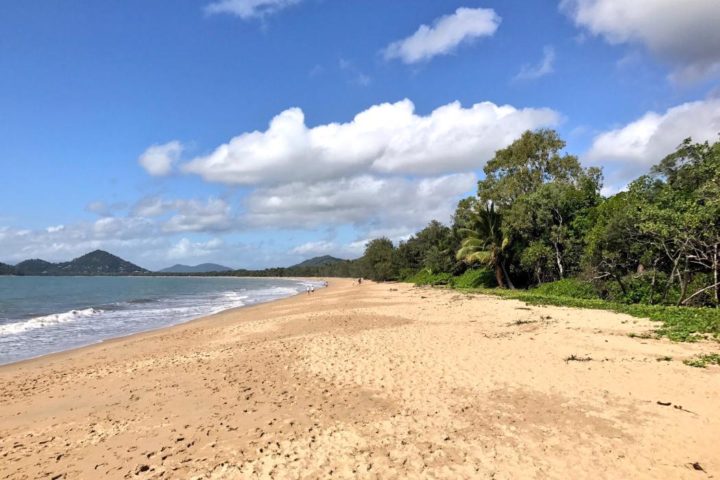 Sandee Palm Cove Beach Photo